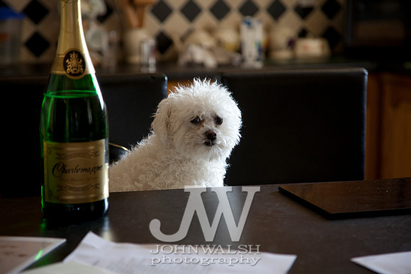Portrait Photography By John Walsh